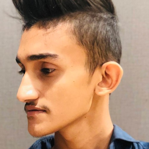 Uvaish H.