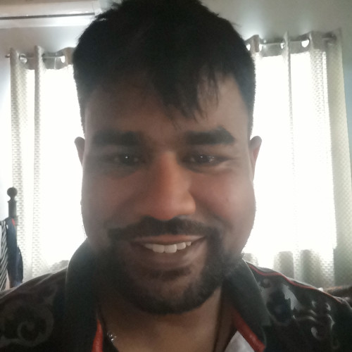 Brad P. profile photo