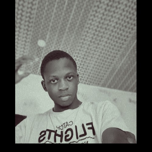 Oluwaseun  P.