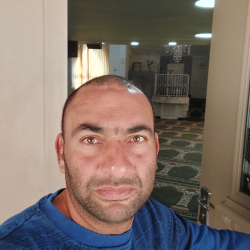 Tawfique M. profile photo