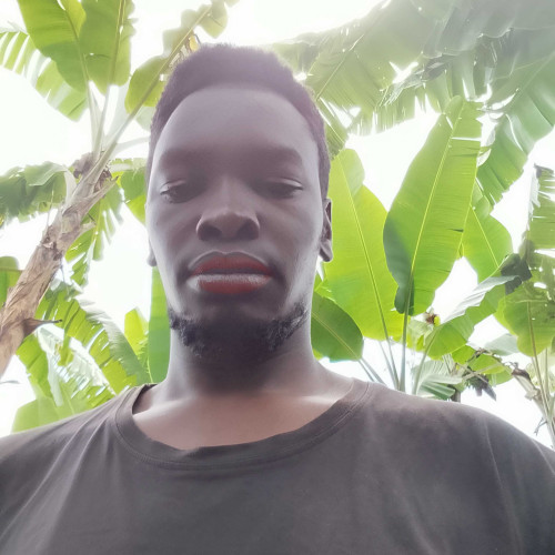 Dennis m. profile photo