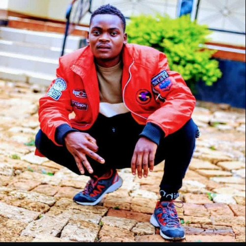 Shauli M. profile photo