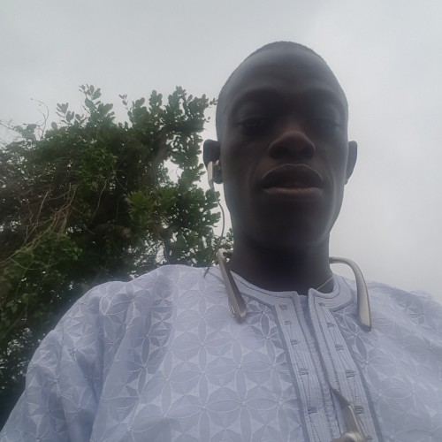 Femi  S. profile photo