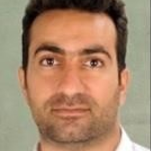 alex a. profile photo