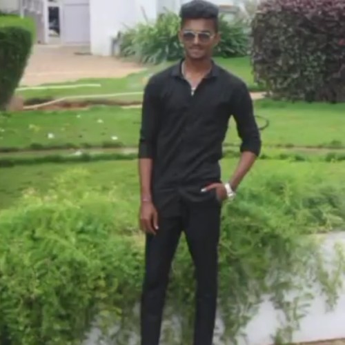 Dinesh  N.