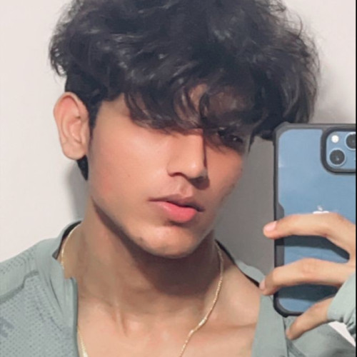 Parth S.