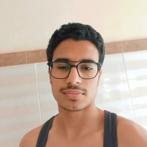 salaheddine e. profile photo