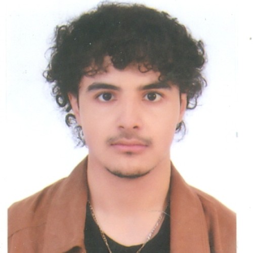 Hamza L. profile photo
