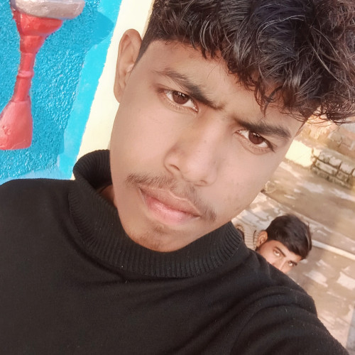 Chauhan S. profile photo