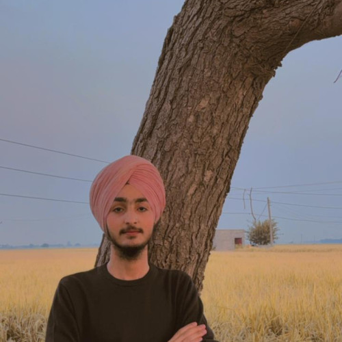 Harman  S. profile photo