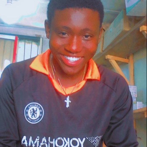 Tamunobieegere  A. profile photo