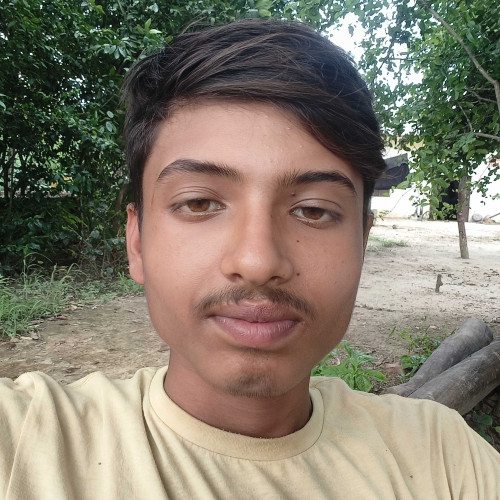 Ram p. profile photo
