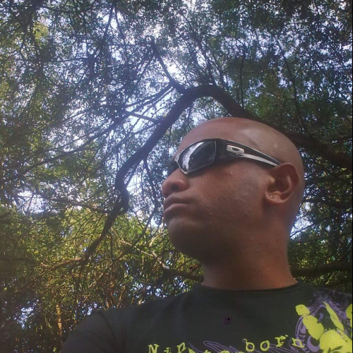 Robert  P.