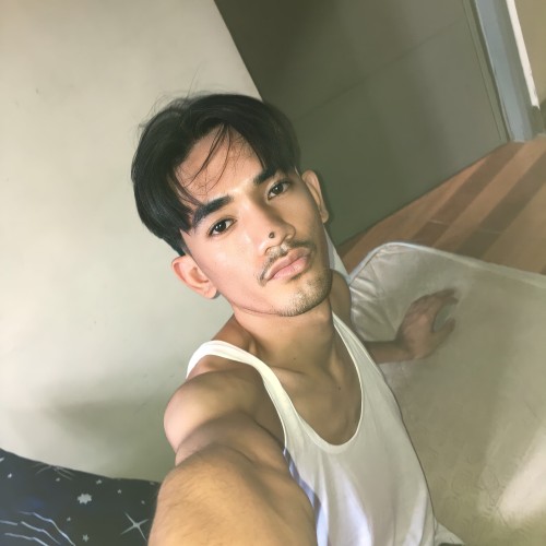 Gibo F. profile photo