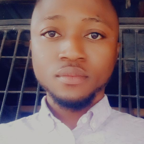 Kolawole  L. profile photo