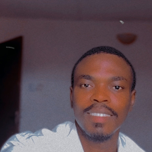 OLUFEMI A. profile photo
