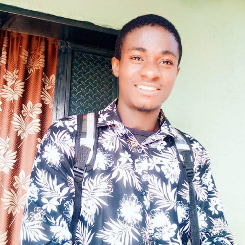 ndubuisi o.