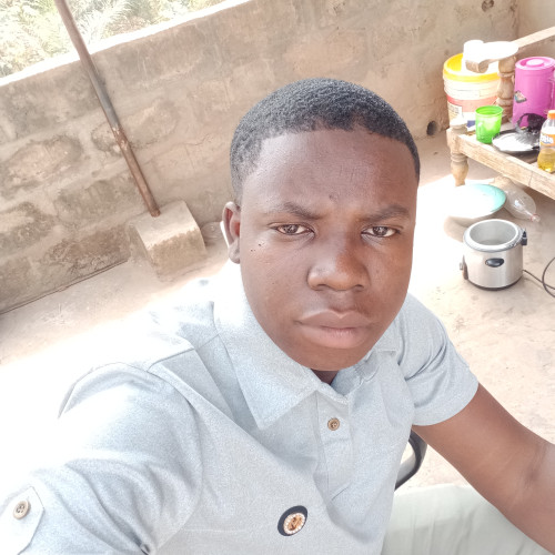 Moutahali A. profile photo