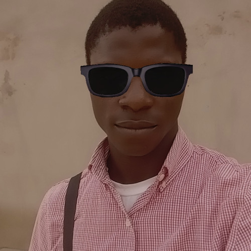 oluwadamiwealth o. profile photo