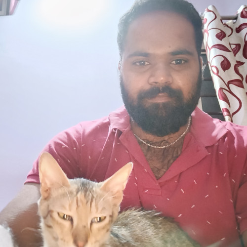 Sunil V. profile photo