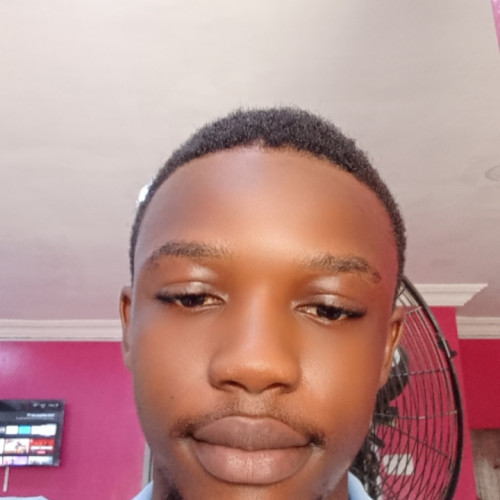 Stephen  C. profile photo