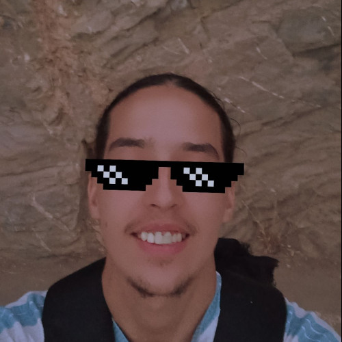 Hamerten N. profile photo