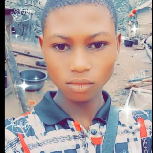 Adewale A. profile photo