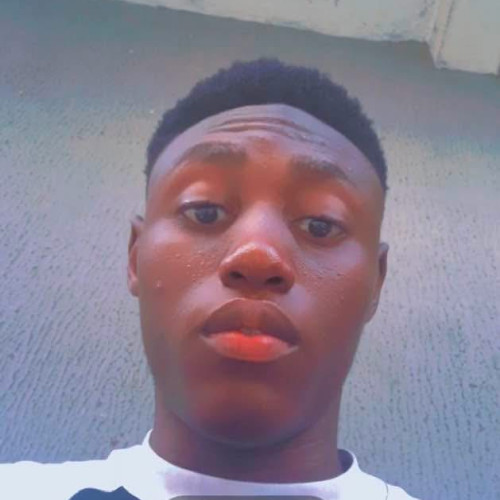 White N. profile photo