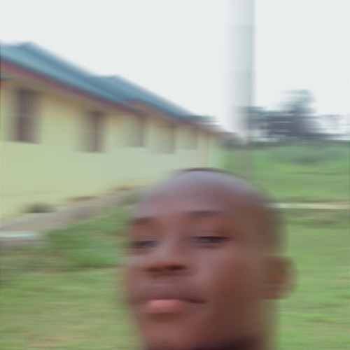 Eniola D.