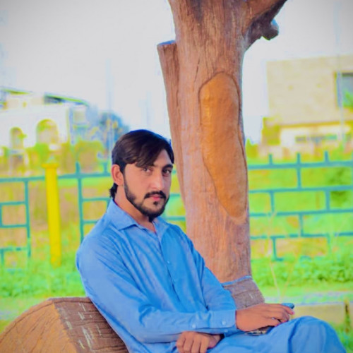 Muzamil K.