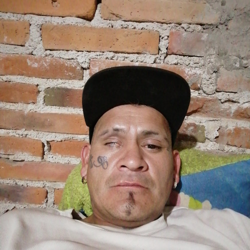 pipo R. profile photo