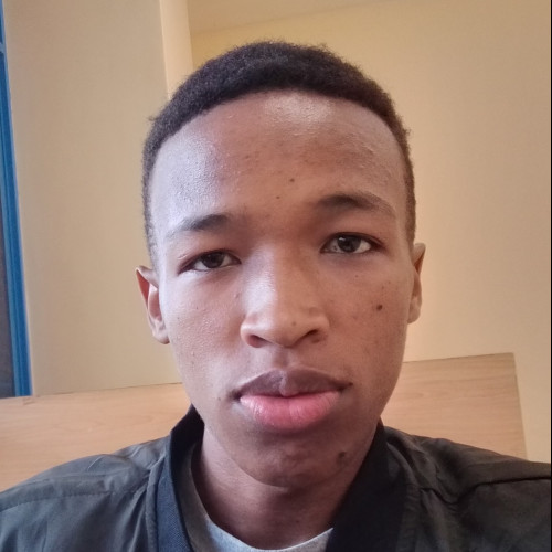 Joe N. profile photo