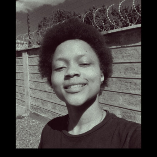 Mitchel I. profile photo