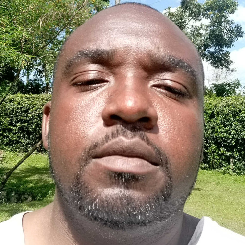 Paul N. profile photo