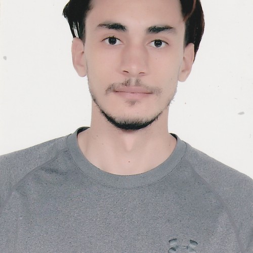 walid b.