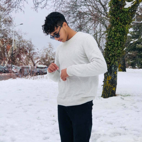 ayman  a.