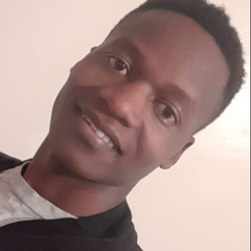 DAN M. profile photo
