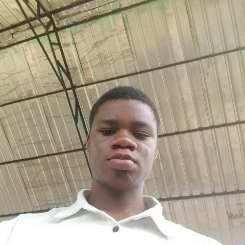 Hammed  S. profile photo
