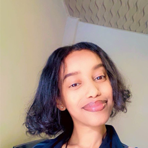 Dina H.