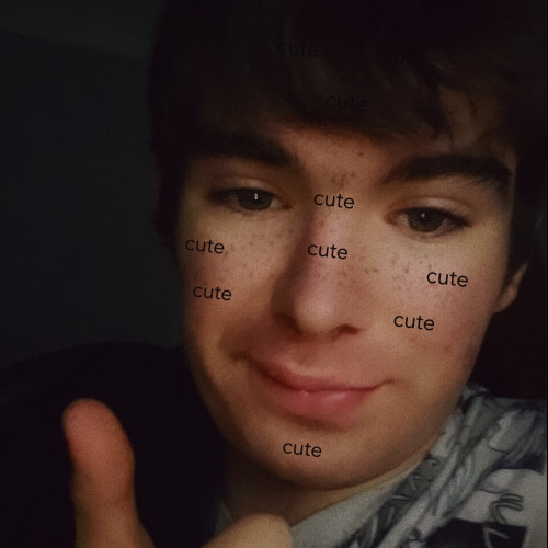 Connor B. profile photo