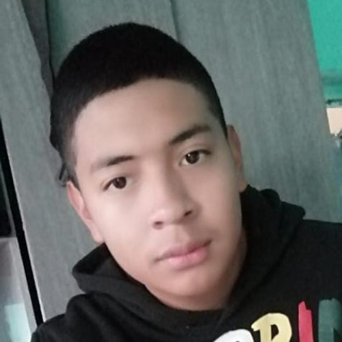 Elmer Z. profile photo