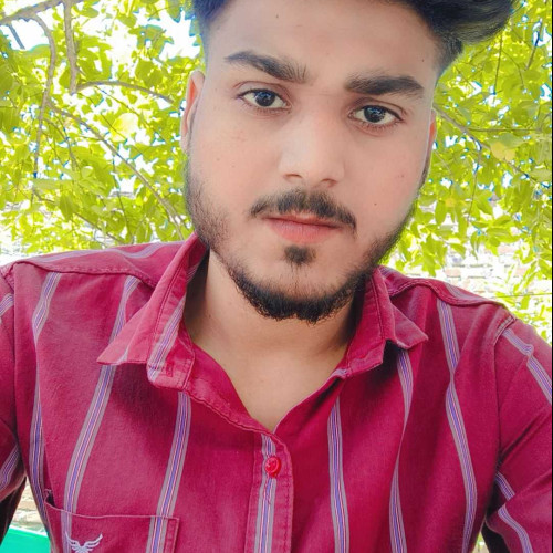 veer S. profile photo