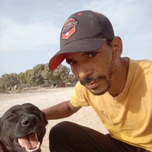 Rachid  E. profile photo