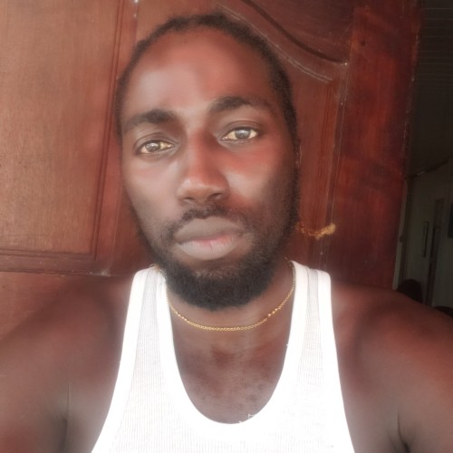 Roy m. profile photo