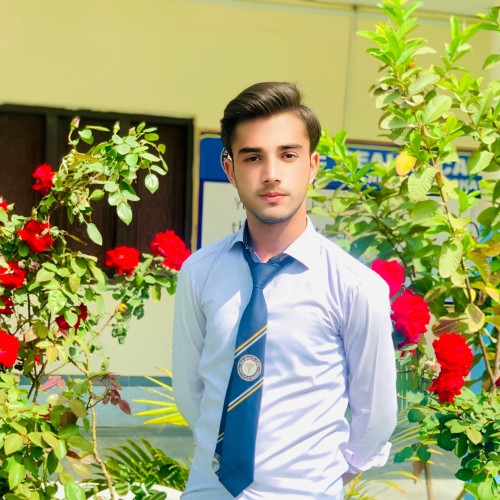 Zishan  A.