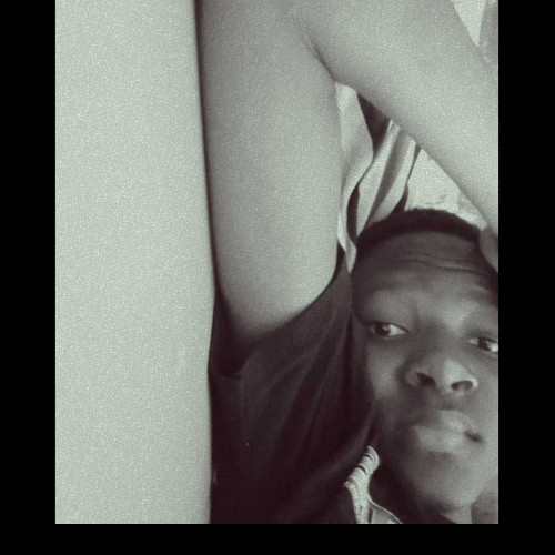 shamzy m.
