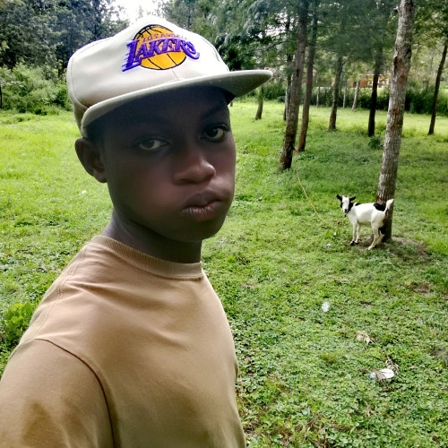 Ariho V. profile photo