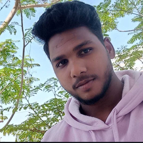 chinnu r.