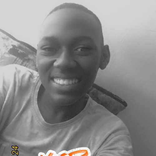 Ali A. profile photo