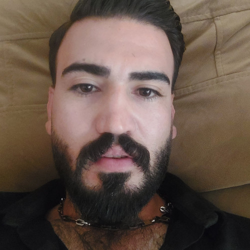amirreza m.